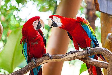 怀旧街机风冒险游戏《街机天堂》 将于8月11日发售